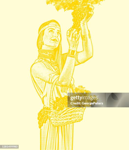 beautiful woman picking wine grapes - earth goddess stock illustrations