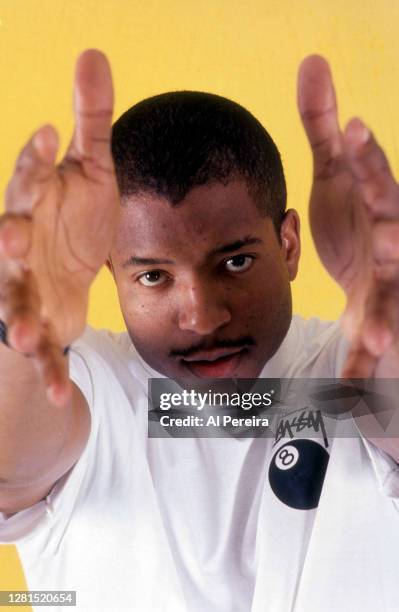 Young Mc Rapper Young 63,275 Young Mc Photos & High Res Pictures - Getty Images