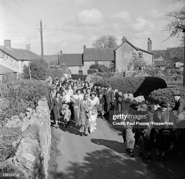 Burrington 16 Burrington Somerset Stock Photos, High-Res Pictures, and Images ...