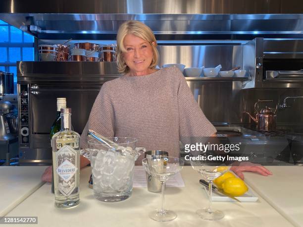 In this screengrab, Martha Stewart speaks during the Hudson River Park Ungala on October 21, 2020.