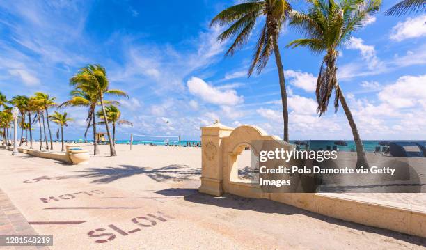 coconut palm trees at world famous hollywood beach close to miami beach, florida - south beach photos et images de collection