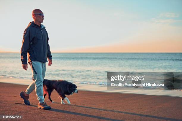 old dog and senior walking along the beach early in the morning - japanese old man foto e immagini stock