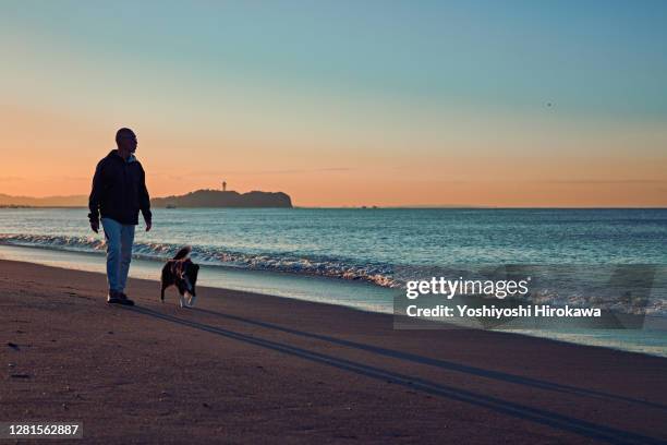 old dog and senior walking along the beach early in the morning - middle age man and walking the dog stockfoto's en -beelden