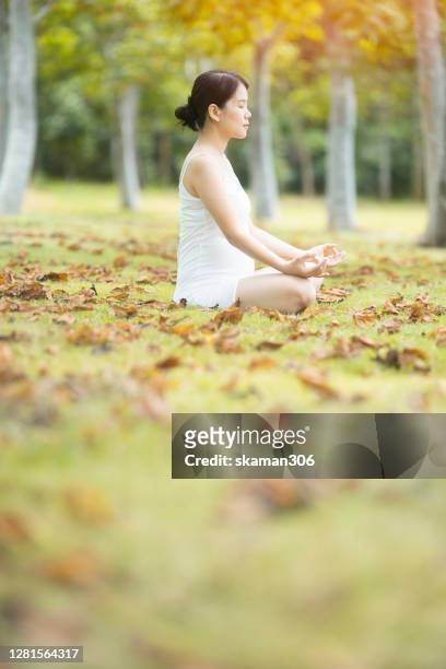 close up asian young adult female pregnancy practice meditation outdoors for balance liiving with copyspace - etnia do sudeste asiático imagens e fotografias de stock