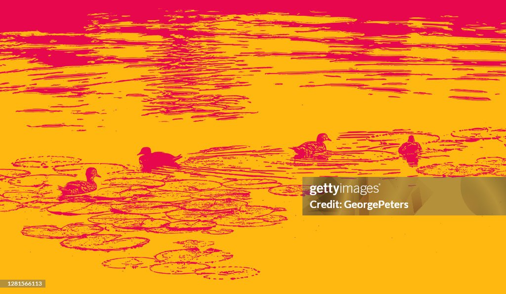 Ducks swimming on lake