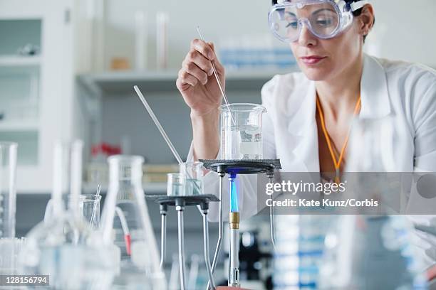 lab worker heating sample - bunsen burner stock pictures, royalty-free photos & images