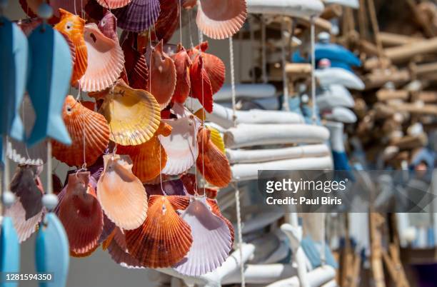 a variety of sea shells on the rope, souvenirs in baska town, croatia - region dalmatien kroatien stock-fotos und bilder