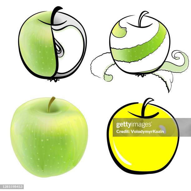 illustrazioni stock, clip art, cartoni animati e icone di tendenza di mele verdi e gialle - metà a colori con mezza fetta come immagine grafica - mela sbucciata