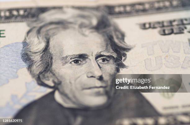 andrew jackson portrait on twenty dollar bill - banconota da 20 dollari statunitensi foto e immagini stock