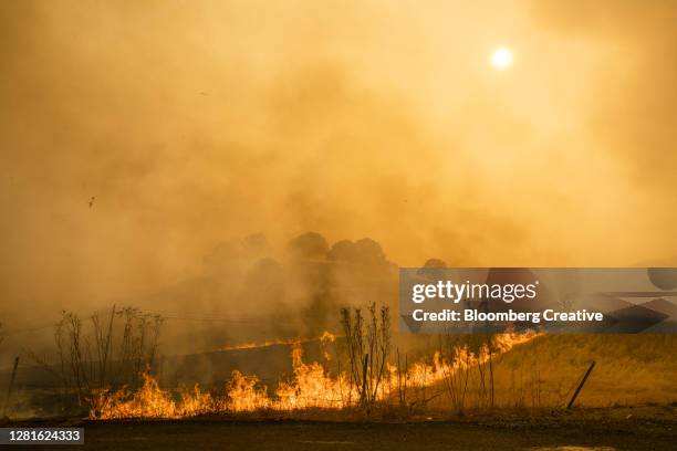 california wildfires - forest firefighter stock pictures, royalty-free photos & images
