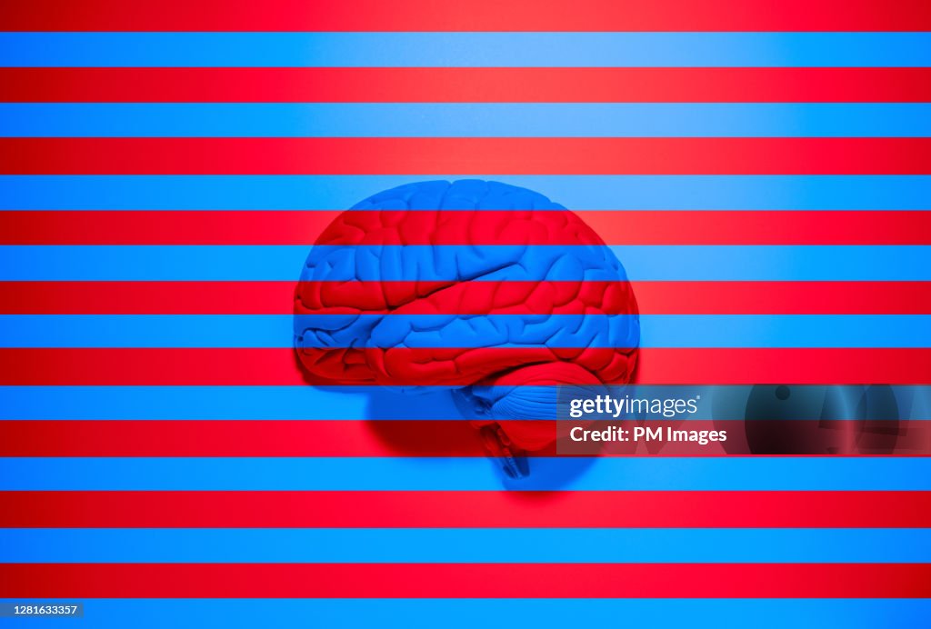 Red and blue stripes over brain