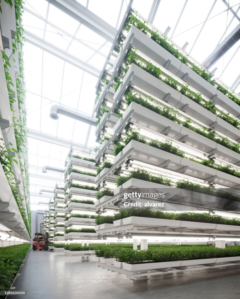 Large vertical farm inside a greenhouse image generated digitally