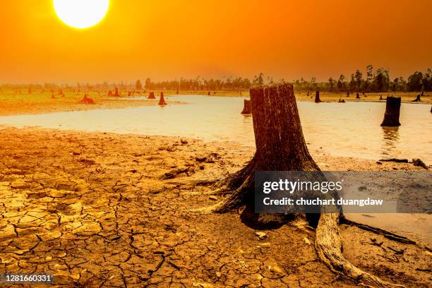 global climate change, global warming, sun and burning, heat wave hot sun - climate crisis asia stock pictures, royalty-free photos & images