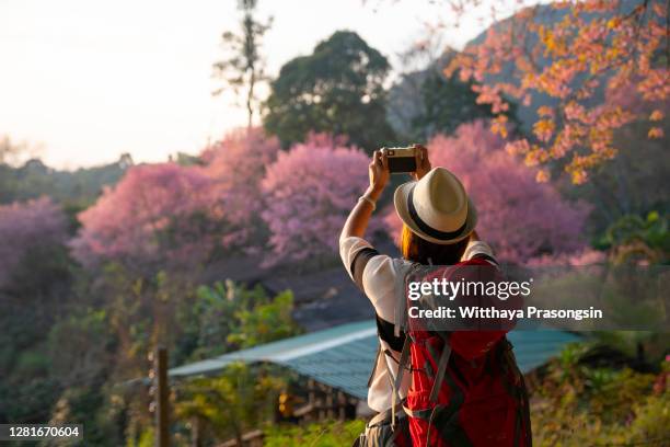 young japanese female photographer - lenses in japan stock pictures, royalty-free photos & images