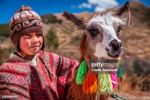 niño peruano que lleva ropa nacional posando con llama cerca de cuzco - paisajes de peru fotografías e imágenes de stock