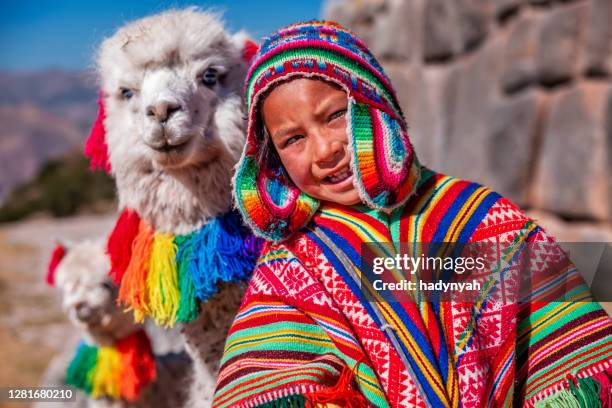 petit garçon péruvien avec une alpaga près de cuzco - culture quechua photos et images de collection