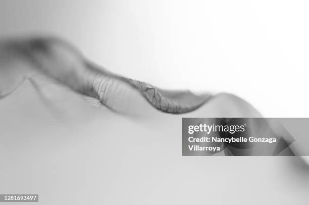 the edge of a dry leaf of a hosta plant - hosta halcyon stock pictures, royalty-free photos & images