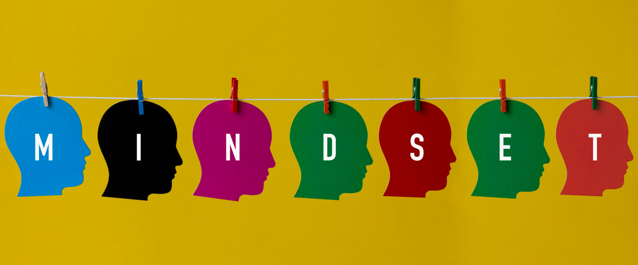 understanding ndis
