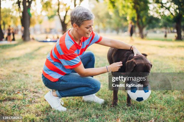 portrait of a labrador and his owner playing in the park - off leash dog park stock pictures, royalty-free photos & images
