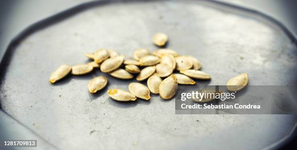 pumpkin seeds, isolated on gray background, halloween preparations. - squash seeds stock-fotos und bilder