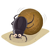 funny cartoon illustration of a dung beetle