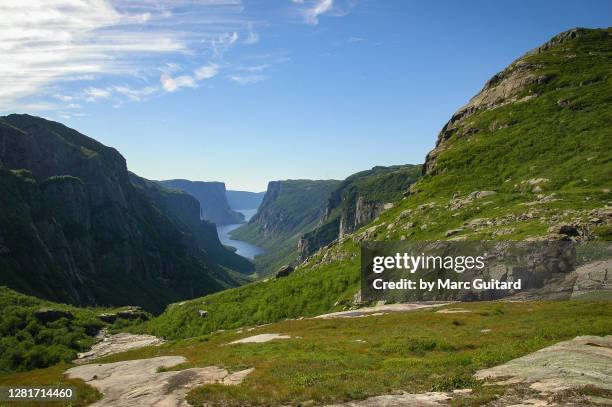 iconic view of western brook pond from the long range traverse hiking trail, gros morne national park, newfoundland & labrador, canada - gros morne national park foto e immagini stock