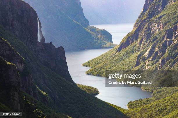 iconic view of western brook pond from the long range traverse hiking trail, gros morne national park, newfoundland & labrador, canada - newfoundland fotografías e imágenes de stock