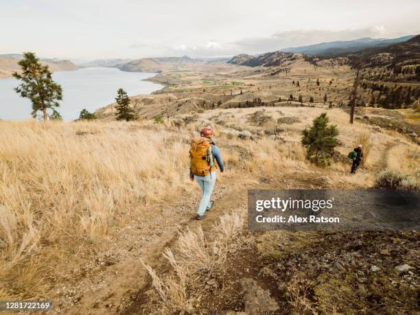 female adult backpacker hikes across the arid desert in british columbias interior wearing a backpack - kamloops stock pictures, royalty-free photos & images