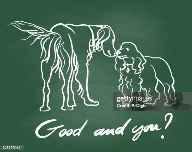 how are you pet's greetings chalkboard - spaniel stock illustrations