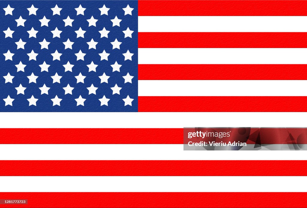 Flag america USA , State of america