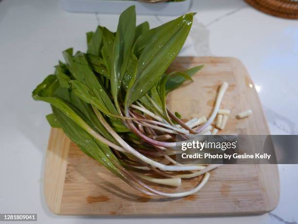 ramps, green wild leeks - wild leek stock pictures, royalty-free photos & images