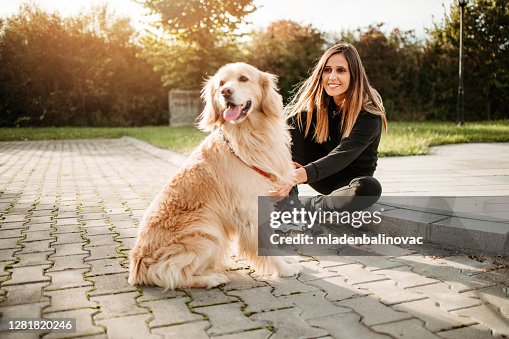 573 Long Haired Golden Retriever Photos and Premium High Res Pictures - Getty Images 573 Long Haired Golden Retriever Photos and Premium High Res Pictures - Getty Images