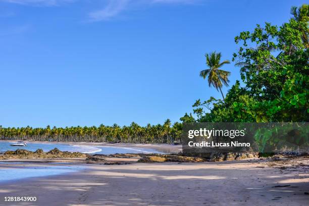 deserted beach - ilha de boipeba, bahia, brazil. - 無人島 ストックフォトと画像