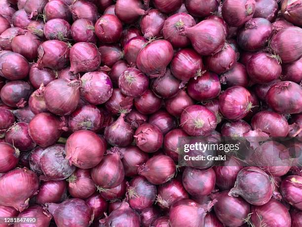 many purple onions background - spanish onion fotografías e imágenes de stock