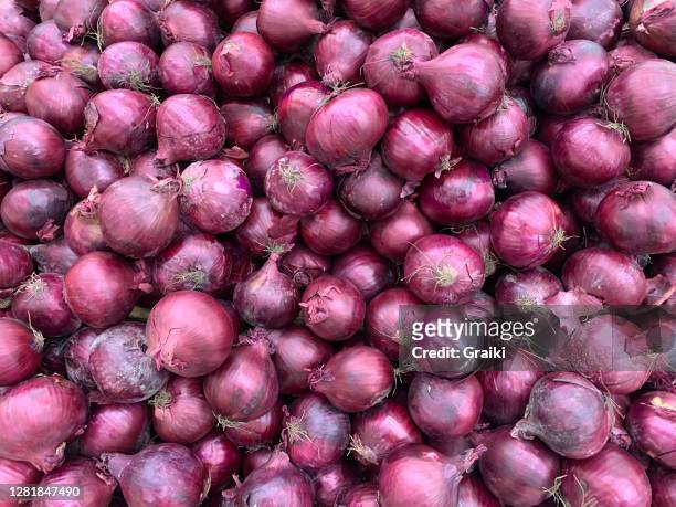 many purple onions background - spanish onion 個照片及圖片檔
