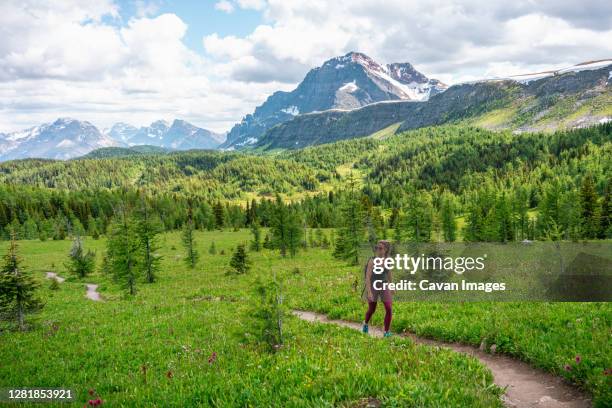 day hiking up healey pass in early spring in banff national park - provinz alberta stock-fotos und bilder