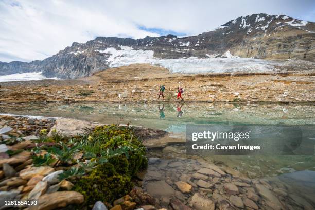 backpackers hiking alongside alpine lake near a glacier in yoho - yoho national park photos et images de collection