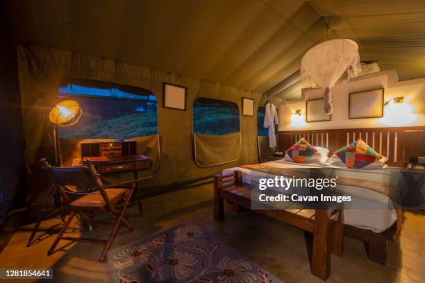 bedroom inside of a luxury camp on the sri lankan highlands - luxury tent stock pictures, royalty-free photos & images