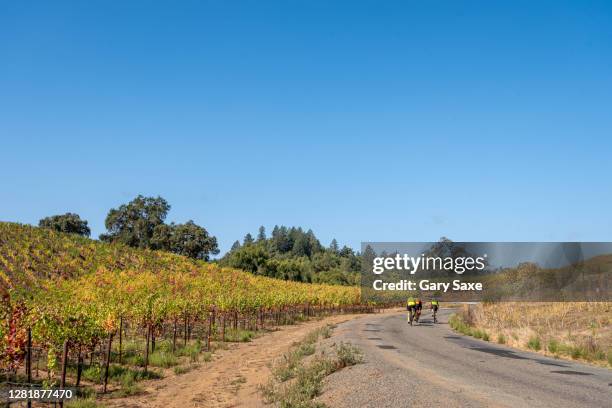 bicycle riders on a backroad in sonoma county california. - sonoma fotografías e imágenes de stock