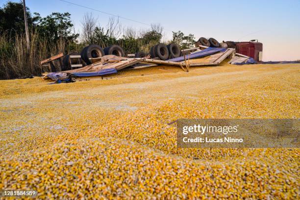 corn truck accident - country market stock pictures, royalty-free photos & images