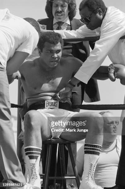 Drew "Bundini" Brown adjusts the belt on the boxing trunks of Muhammad Ali during an eight-round exhibition match against Lyle Alzado at Mile High...