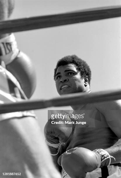 Muhammad Ali , pushes Lyle Alzado up against the ropes during an eight-round exhibition match at Mile High Stadium on July 14, 1979 in Denver,...