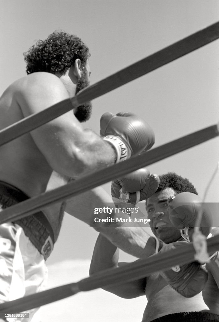 Muhammad Ali-Lyle Alzado Fight