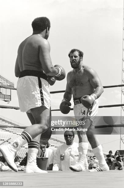 Lyle Alzado , squares off against Muhammad Ali during an eight-round exhibition match at Mile High Stadium on July 14, 1979 in Denver, Colorado....