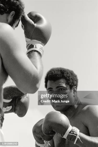 Muhammad Ali looks for an opening during an eight-round exhibition match against Lyle Alzado at Mile High Stadium on July 14, 1979 in Denver,...