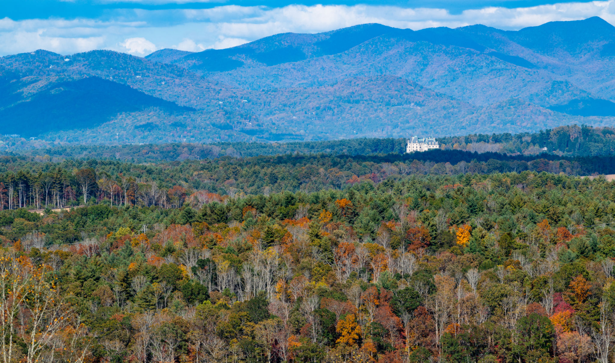 asheville homes