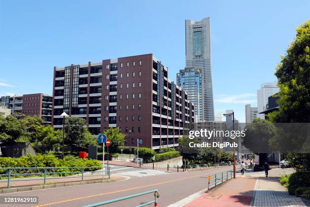 momijizaka street view - kanagawa prefecture 個照片及圖片檔