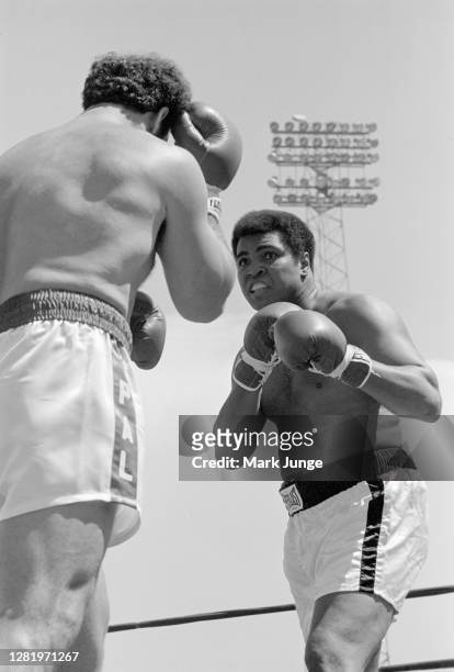 Muhammad Ali squares off against Lyle Alzado during an eight-round exhibition match at Mile High Stadium on July 14, 1979 in Denver, Colorado. Ali...