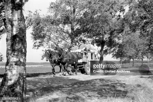 Germany - A mail-coach in the Lüneburger Heide, North German landscape, 07/1955.
