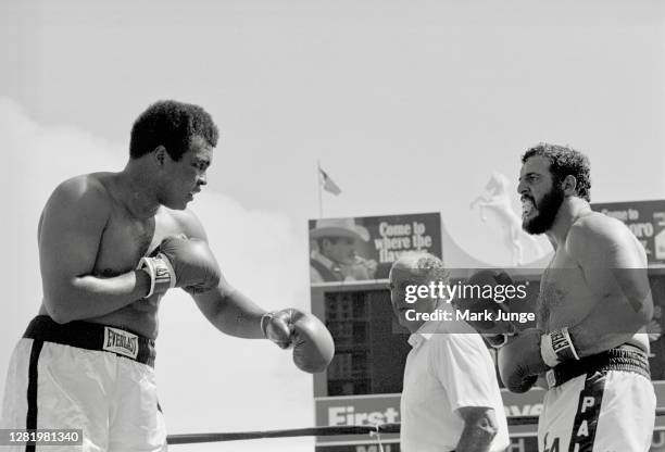 Muhammad Ali squares off against Lyle Alzado during an eight-round exhibition match at Mile High Stadium on July 14, 1979 in Denver, Colorado. Alzado...